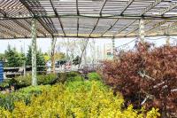 Four Seasons Garden Centre - Landscaping Company image 3
